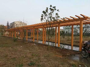 武威园林景观产品推荐——甘肃高质量仿木葡萄架供应