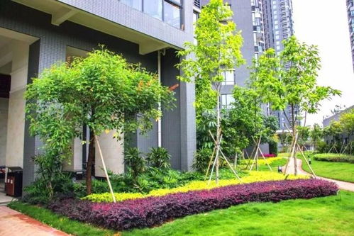 匠心筑境 诗意栖居——中国风景园林学会“优秀园林工程”精品项目回顾