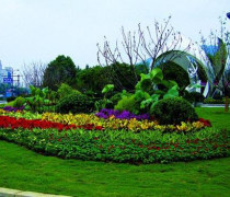 绿植租赁租摆公司优质商家置顶推荐产品