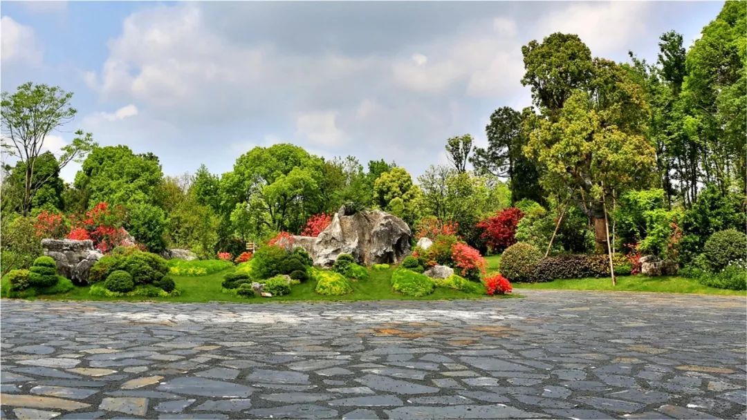 人文园林亮相首届全国园林绿化养护管理产业峰会，共绘行业发展新蓝图