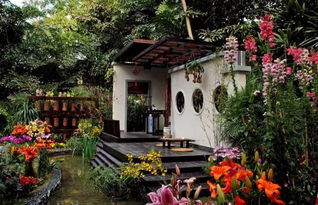 中国园林 未尽园林先有情