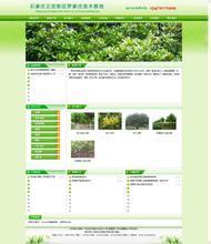 苗圃网站 打造园林绿化一站式产品参考宝典